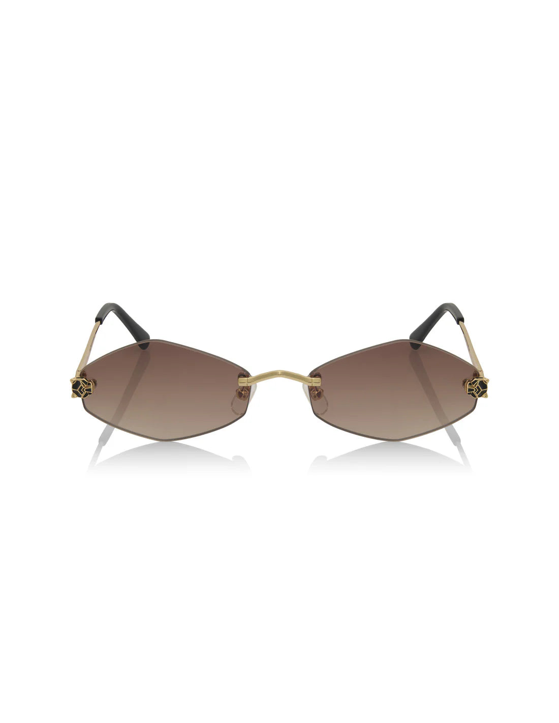 Cartier Panthère Brown CT0433S