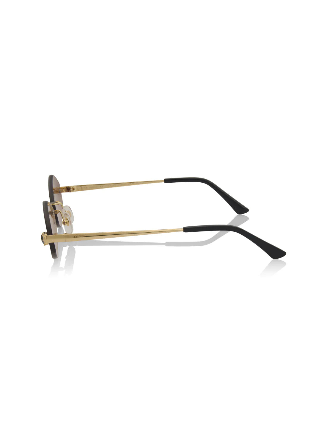 Cartier Panthère Brown CT0433S