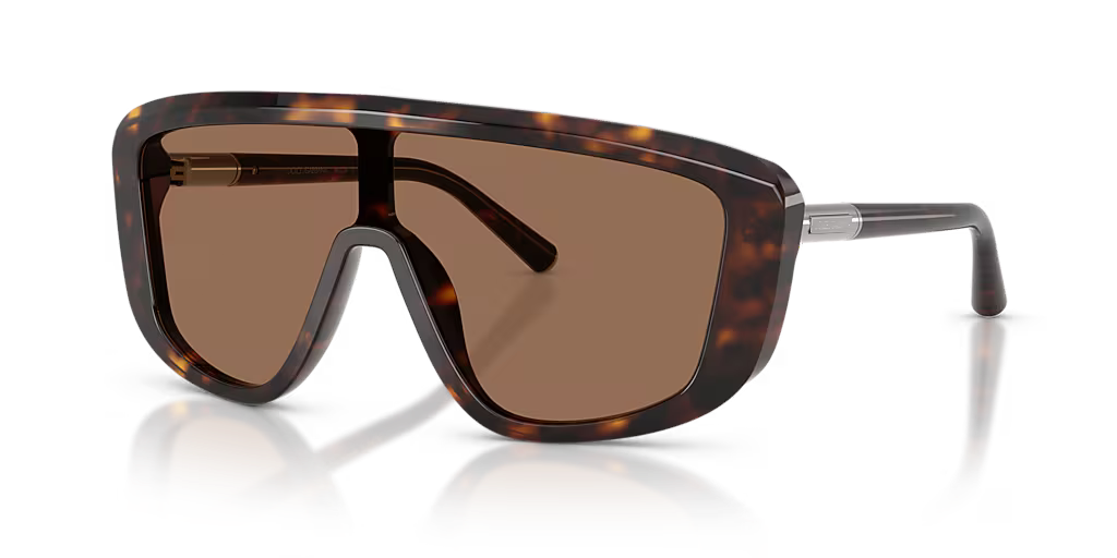 Dolce & Gabbana DG4520