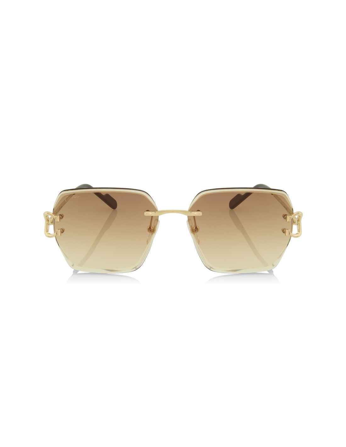 Cartier CT0466S 004
