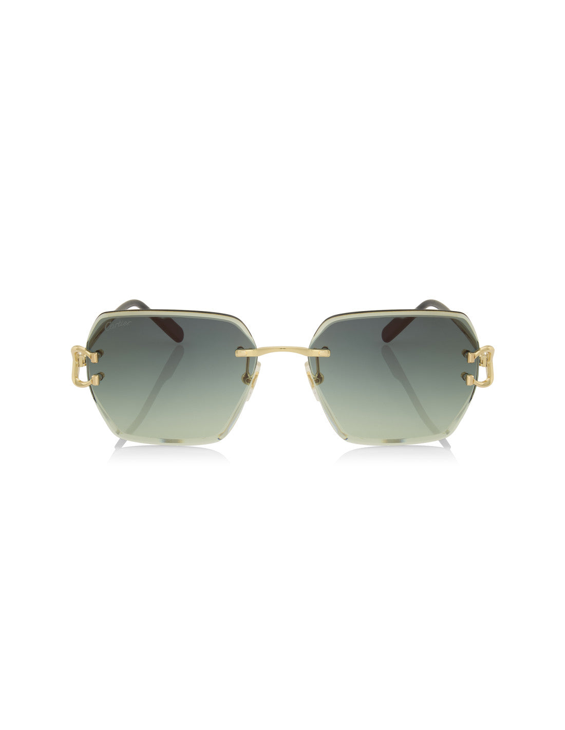 Cartier CT0466S 004