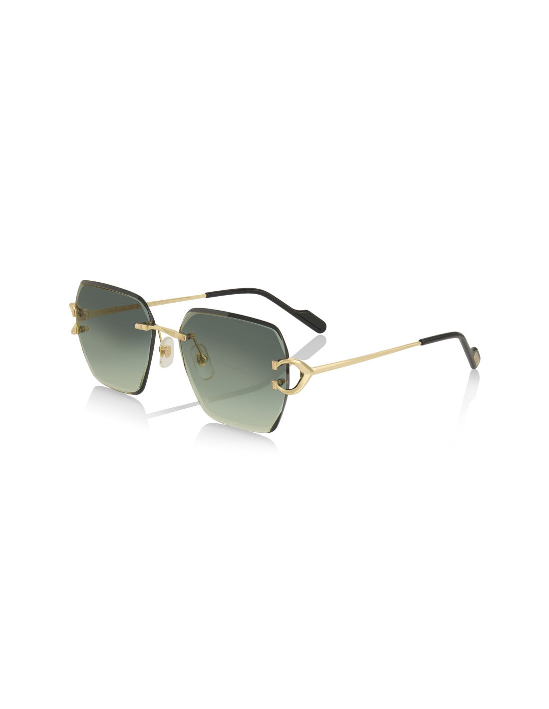 Cartier CT0466S 004