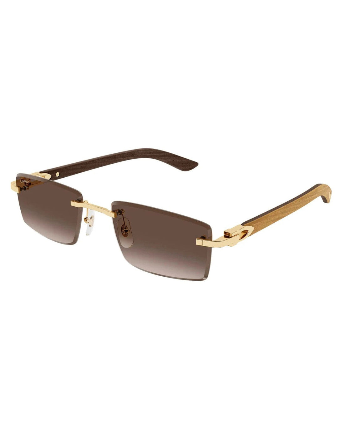 Cartier CT0582S Rectangular