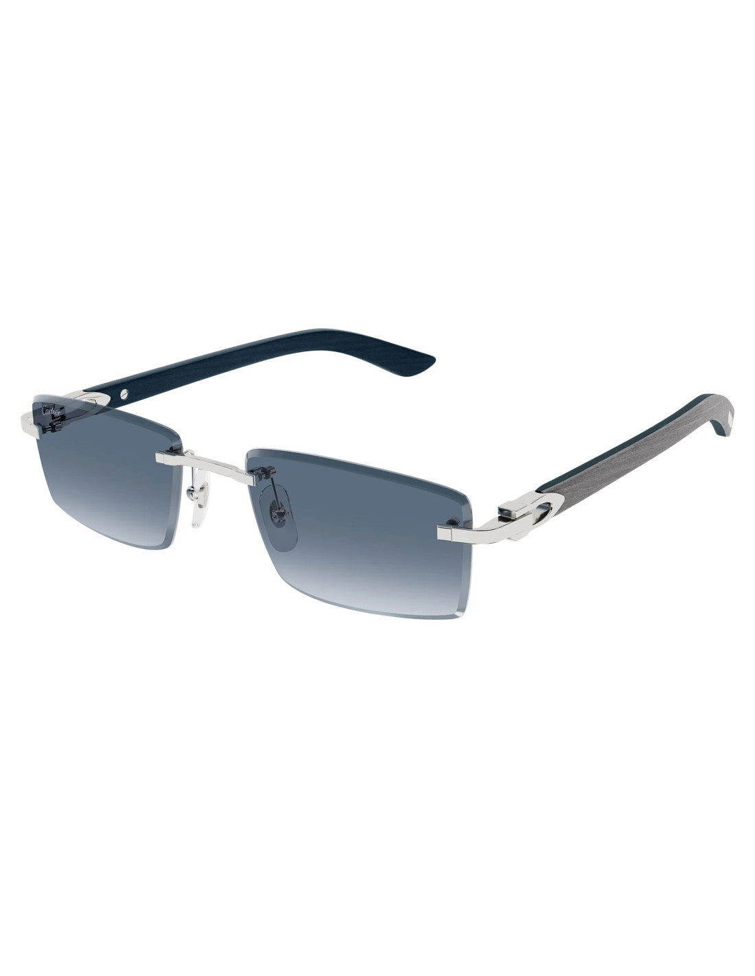 Cartier CT0582S Rectangular