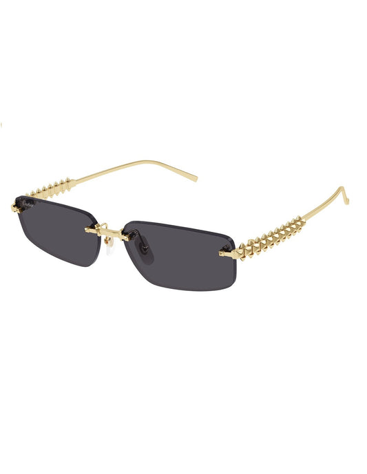 Cartier CT0544S Rectangle