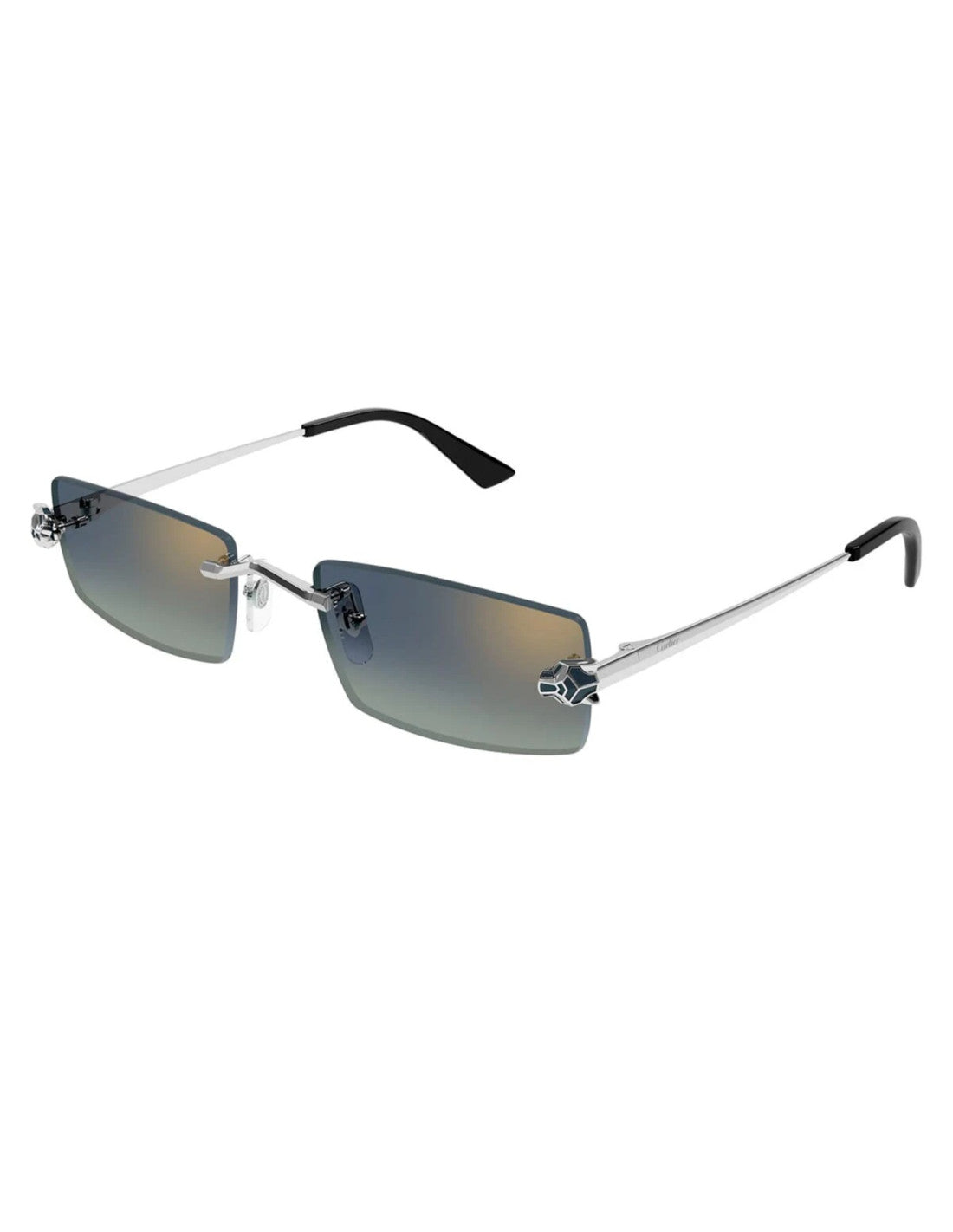 Cartier CT0598S Silver
